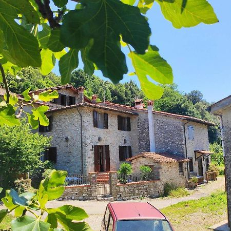 Cara House Tuscany - Zona Lucca Chiatri Kültér fotó