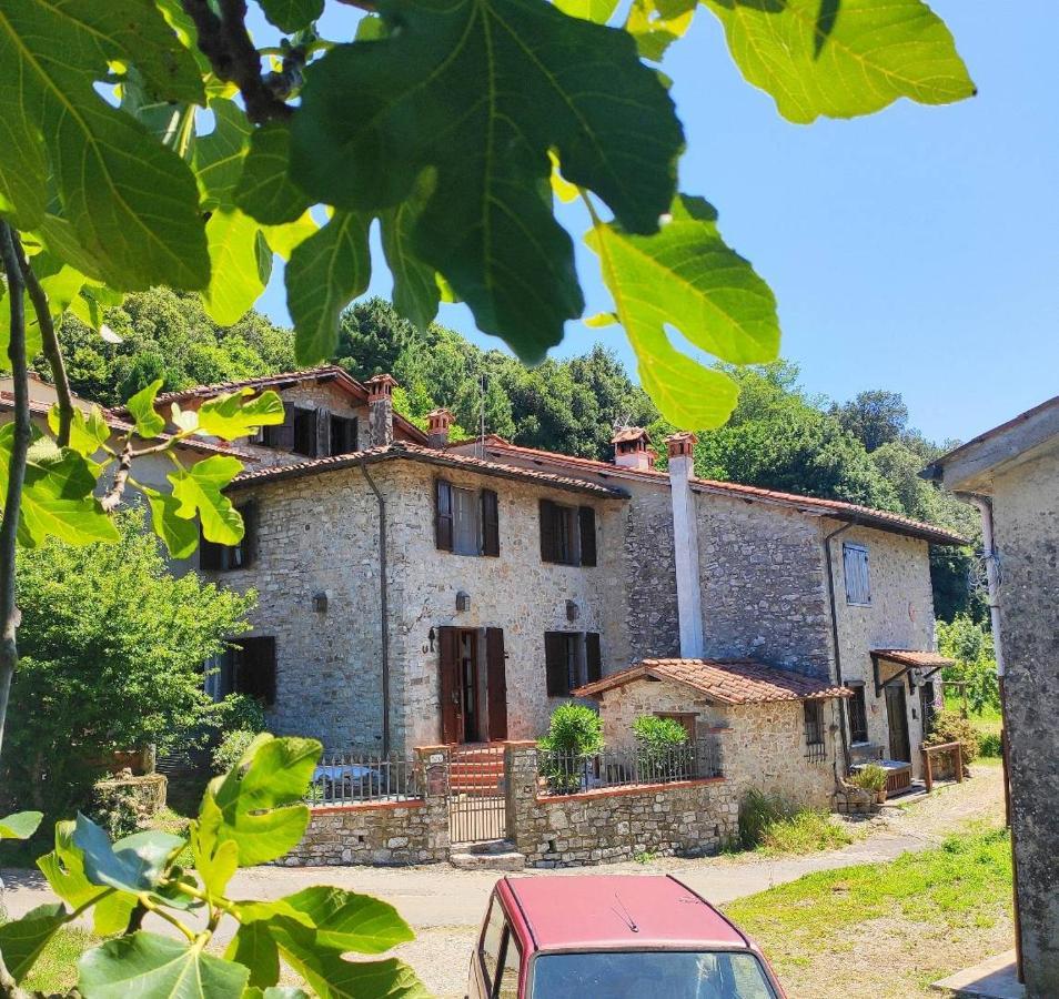 Cara House Tuscany - Zona Lucca Chiatri Kültér fotó